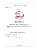 Tiểu luận: Kỹ thuật và quy trình xây dựng văn bản pháp luật: Môn Xây dựng văn bản pháp luật