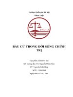 Tiểu luận: Bầu cử trong đời sống chính trị