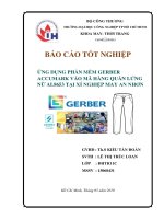 Báo cáo tốt nghiệp  Ứng dụng gerber vào sx