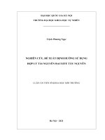 Luận án tiến sĩ khoa học môi trường: Nghiên cứu, đề xuất định hướng sử dụng hợp lý tài nguyên bauxite Tây Nguyên