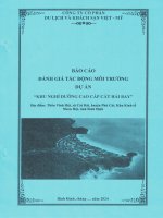 báo cáo đánh giá tác động môi trường khu nghỉ dưỡng cao cấp cát hải bay