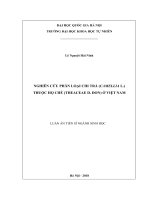 Luận án tiến sĩ sinh học: Nghiên cứu phân loại chi Trà (Camellia L.) thuộc họ Chè (Theaceae D. Don) ở Việt Nam