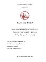 Tiểu luận: Quy trình xây dựng văn bản áp dụng pháp luật ở Việt Nam
