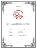 Tiểu luận: Những hình thức chính quyền căn bản hiện nay