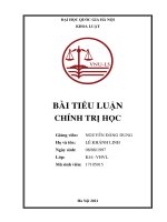 Tiểu luận: Bầu cử trong đời sống chính trị hiện đại