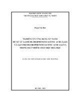 Luận án tiến sĩ khoa học môi trường: Nghiên cứu ứng dụng Fe° nano để xử lý 2,4- Dichlorophenoxyacetic acid (2,4-D) và 2,4,5-Trichlorophenoxyacetic acid (2,4,5- T) trong đất nhiễm chất độc hoá học
