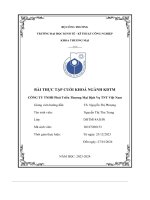 bài thực tập cuối khoá ngành kdtm công ty tnhh phát triển thương mại dịch vụ tnt việt nam