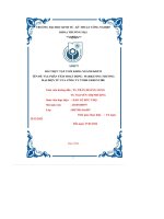 bài thực tập cuối khóa ngành kdtm phân tích hoạt động marketing thương mại điện tử của công ty tnhh greenvibe