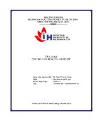 tiểu luận chủ đề văn hóa của nước mỹ