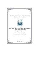 học phần thực hành quản trị tài chính công ty sữa vinamilk