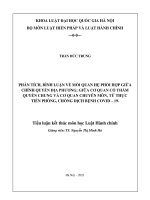 Tiểu luận: Phân tích, bình luận về mối quan hệ phối hợp giữa chính quyền địa phương; giữa cơ quan có thẩm quyền chung và cơ quan chuyên môn, từ thực tiễn phòng, chống dịch bệnh covid 19