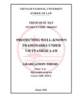 Khóa luận tốt nghiệp: Protecting well-known trademarks under Vietnamese law