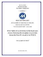 nghiên cứu sự ảnh hưởng của tiếp thị giác quan sensory marketing đến trải nghiệm và sự yêu thích thương hiệu pizza 4ps của giới trẻ tại tp hcm