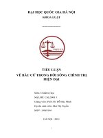 Tiểu luận về bầu cử trong đời sống chính trị hiện đại