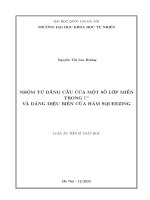 Luận án tiến sĩ toán học: Nhóm tự đẳng cấu của một số lớp miền trong Cn và dáng điệu biên của hàm squeezing