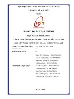 xây dựng kế hoạch e marketing cho sản phẩm mới gạo lứt ngọc nương của doanh nghiệp winmart