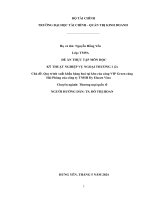 Đề Án Kỹ Thuật Nghiệp Vụ Ngoại Thương