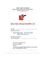 bài thu hoạch trần hồng đức mua bán trái phép chất ma túy