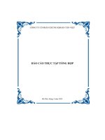 báo cáo thực tập tổng hợp công ty cổ phần chứng khoán tân việt