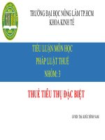 tiểu luận môn học pháp luật thuế thuế tiêu thụ đặc biệt