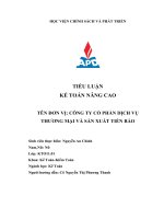 tiểu luận kế toán nâng cao tên đơn vị công ty cổ phần dịch vụ thương mại và sản xuất tiến bảo