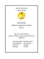 Báo cáo rủi ro công ty cổ phần vàng bạc đá quý phú nhuận hose PNJ