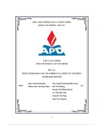 tiểu luận nhóm phân tích báo cáo tài chính của công ty cổ phần bánh kẹo hải hà