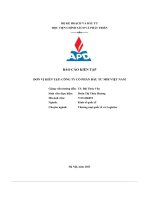 Báo Cáo Kiến Tập Công Ty Cổ Phần Đầu Tư Mir Việt Nam.pdf