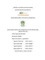 hoạch định chiến lược digital marketing hoạch định chiến lược marketing số cho thương hiệu phụng nông sản