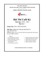 chủ đề nghiên cứu về mô hình b2b ảnh hưởng đến kinh doanhcủa sàn tmdt lazada