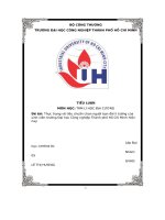 thực trạng về tiêu chuẩn chọn người bạn đời lí tưởng của sinh viên trường đại học công nghiệp thành phố hồ chí minh hiện nay