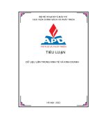 Tiểu Luận Dữ Liệu Lớn Trong Kinh Tế Và Kinh Doanh.pdf