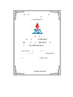 Giải Pháp Để Cải Thiện Môi Trường Tỉnh Quảng Bình Đến Năm 2030..Pdf