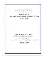 tiểu luận cuối kỳ tài chính trong mua bán và sáp nhập doanh nghiệp