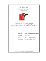 hồ sơ báo cáo thực tập kỹ năng tham gia giải quyết các vụ việc dân sự