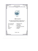 tiểu luận 2 phân tích tình hình tài chính công ty cổ phần thiết kế và phát triển đô thị