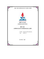 Tiểu Luận Chính Sách Công Đề Tài Chính Sách Về Bình Đẳng Giới.pdf