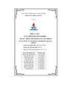 tiểu luận phân tích báo cáo tài chính của công ty cổ phần tập đoàn masan msn