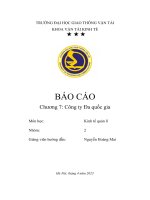báo cáo chương 7 công ty đa quốc gia
