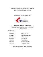 tiểu luận ly hôn huỷ kết hôn trai phép các hành vi bị cấmtrong lĩnh vực hôn nhân