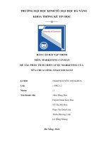 đề tài phân tích chiến lược marketing của sữa chua uống vego yougust