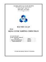 TIỂU LUẬN Đề tài ĐỘNG CƠ DC KHÔNG CHỔI THAN