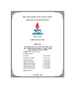 tiểu luận chính sách công sự tham gia của các chủ thể vào quá trình ban hành và thực hiện một chính sách cụ thể