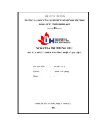 tiểu luận môn quản trị thương hiệu đề tài phát triển thương hiệu gạo việt