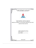 thị trường chứng khoán định giá cổ phiếu của ngân hàng thương mại cổ phầquốc tế việt nam vib