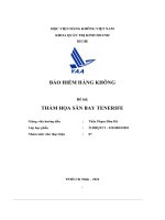 Bảo Hiểm Hàng Không Đề Tài Thảm Họa Sân Bay Tenerife 1.Pdf