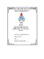 báo cáo phân tích tài chính công ty cp dầu khí an pha