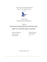 Kế Hoạch Kinh Doanh Thương Mại Điện Tử Thương Hiệu Cocoon.pdf