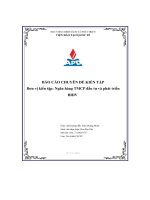 báo cáo chuyên đề kiến tập ngân hàng tmcp đầu tư và phát triển bidv