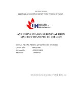 tiểu luận ảnh hưởng của dân số đến phát triển kinh tế ở thành phố hồ chí minh